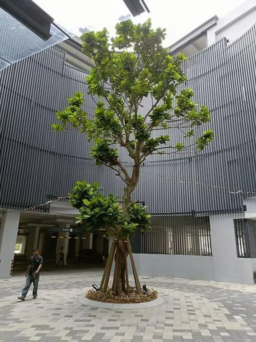 Sky Trees 2 Guests With Nflix Private Car Park High Floor B22B Apartment Johor Bahru